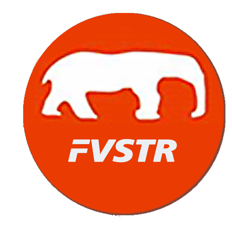 FVSTR_004c7d2a-159e-46ec-a782-431c2b89868e